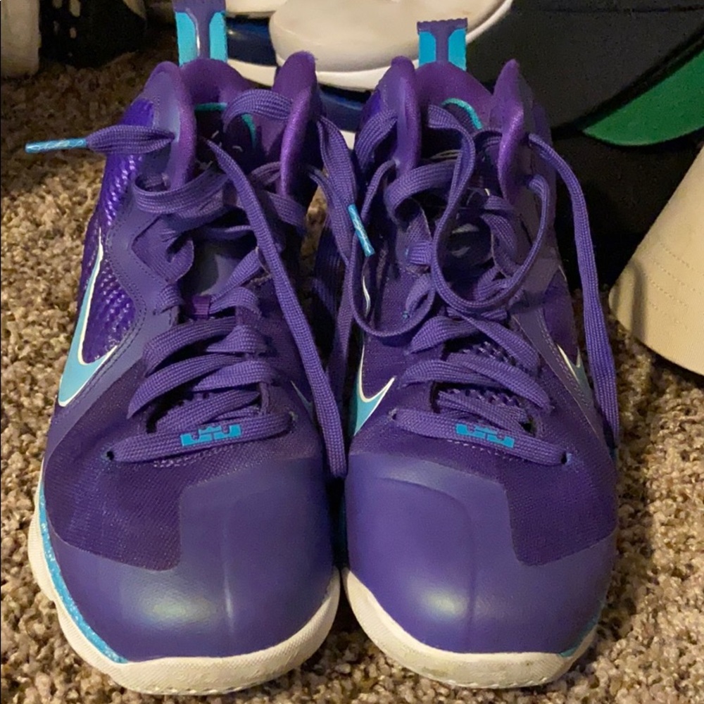 Lebron hornets